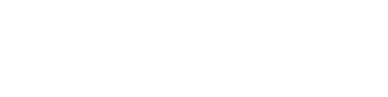 The Ashley Rebel