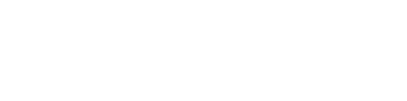 The Ashley Rebel