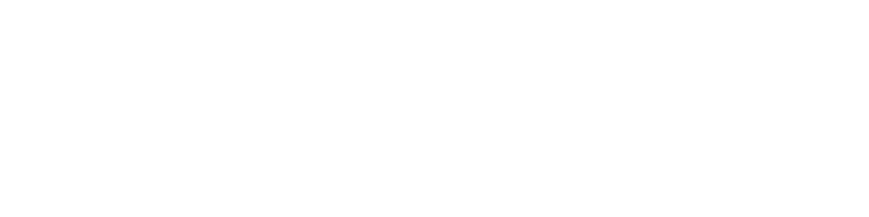 The Ashley Rebel